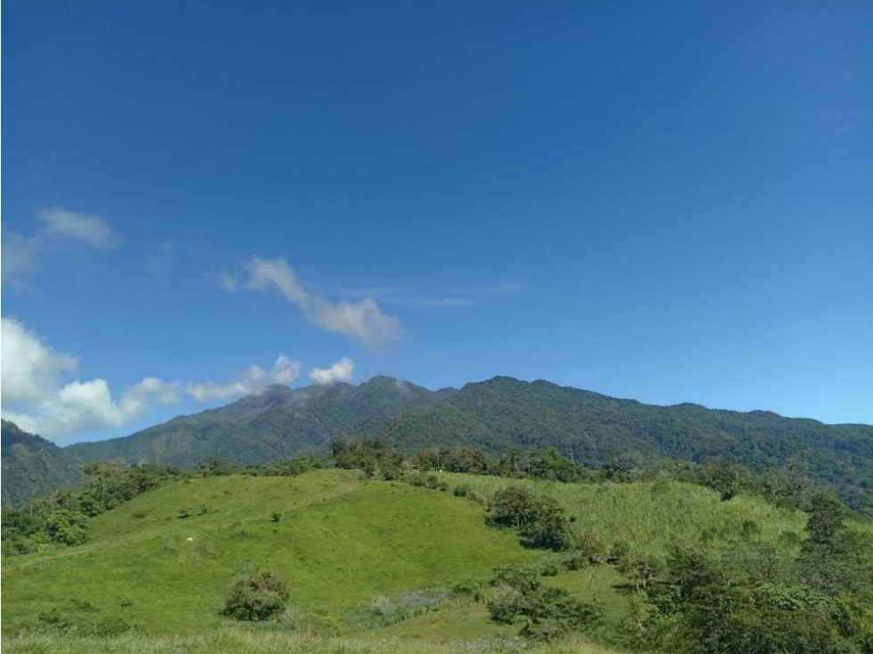 VENDO FINCA DE 18HECTAREAS FALDAS VOLCAN - 1