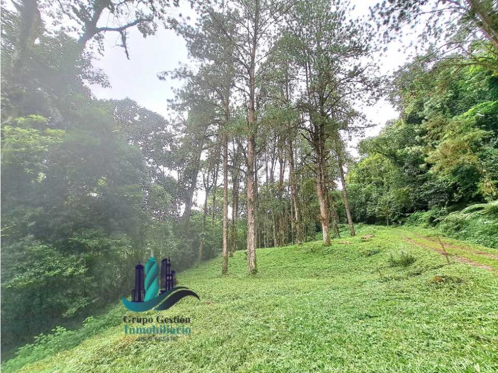 VENDO FINCA DE 195 HECTAREAS EN COORDILLERA CON AGUA VIVA - 1