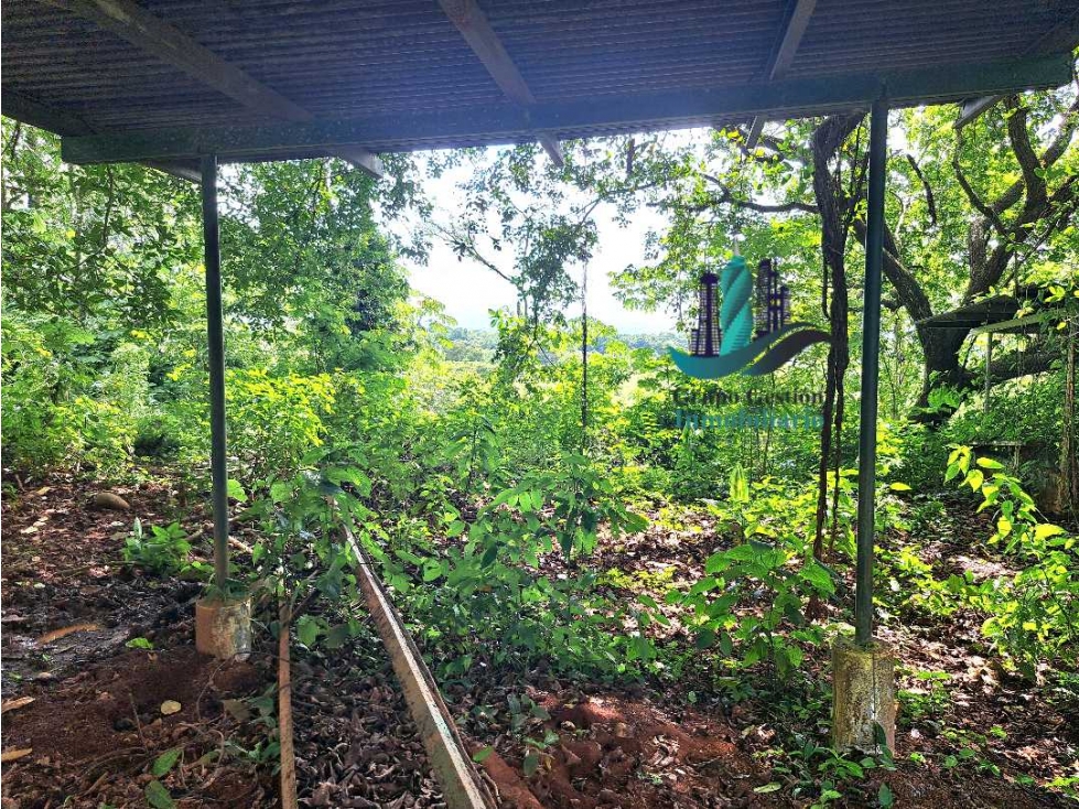 VENDO FINCA + DE 1 KILOMETRO DE FRENTE INTERAMERICANA SAN LORENZO - 5