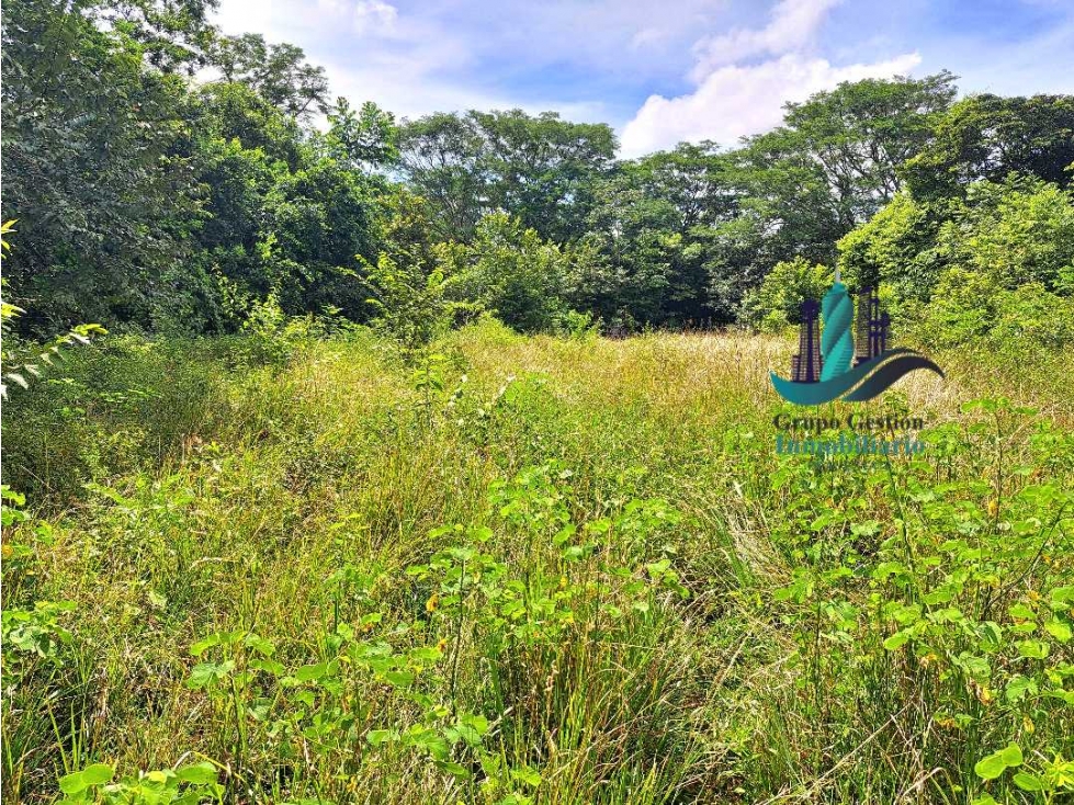 VENDO FINCA + DE 1 KILOMETRO DE FRENTE INTERAMERICANA SAN LORENZO - 6
