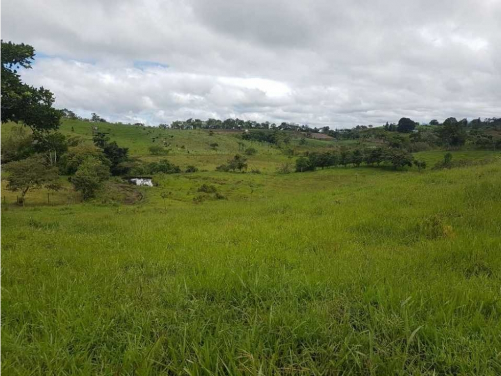VENDO FINCA DE 20 HECTAREAS + SANTA CLARA - 2