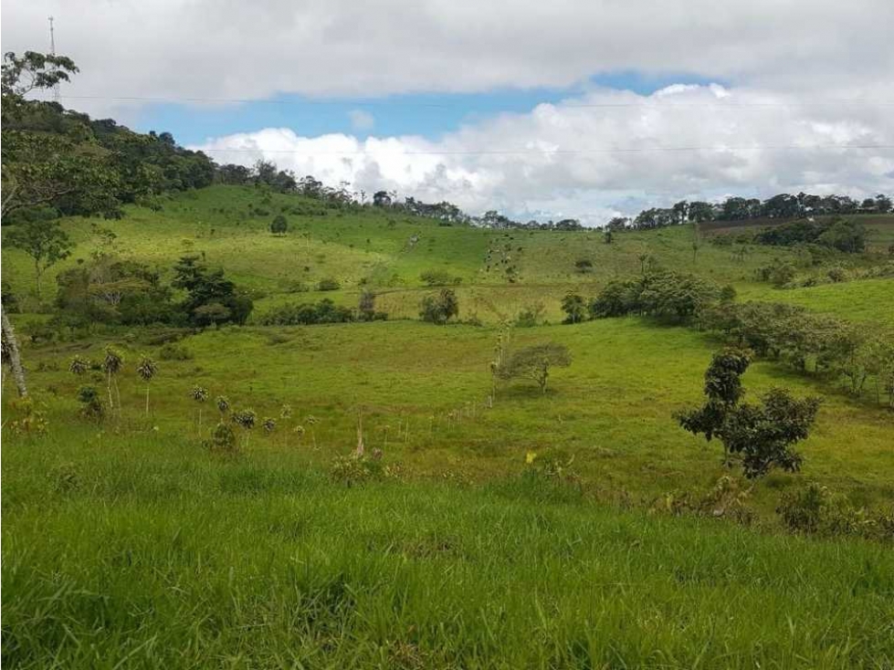 VENDO FINCA DE 20 HECTAREAS + SANTA CLARA - 3