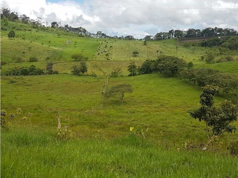 VENDO FINCA DE 20 HECTAREAS + SANTA CLARA - 5
