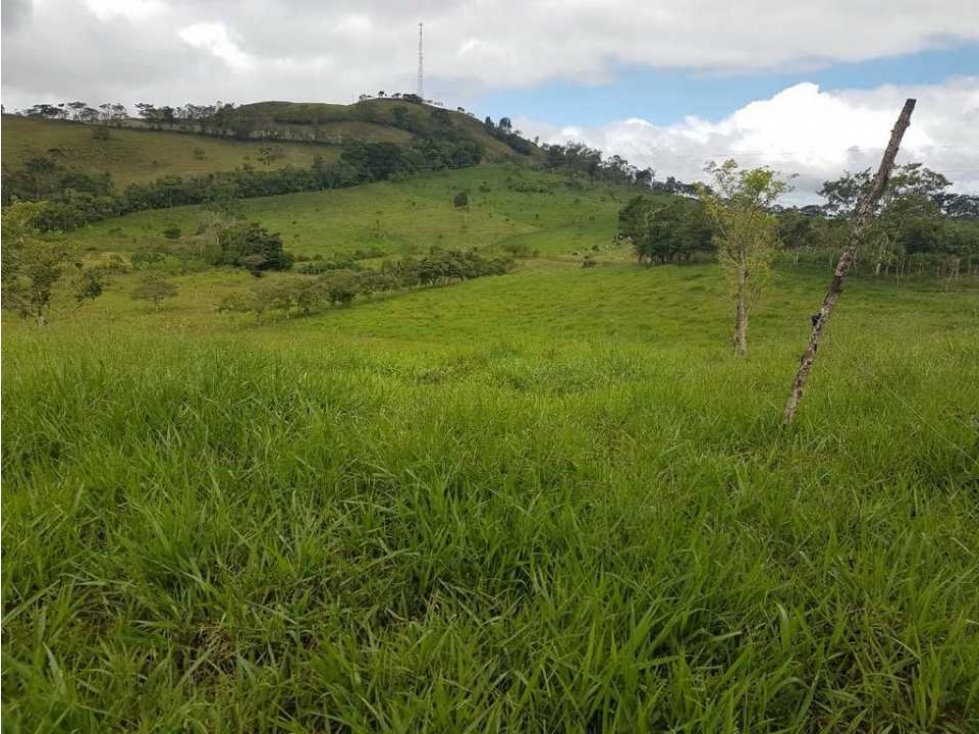 VENDO FINCA DE 20 HECTAREAS + SANTA CLARA - 6