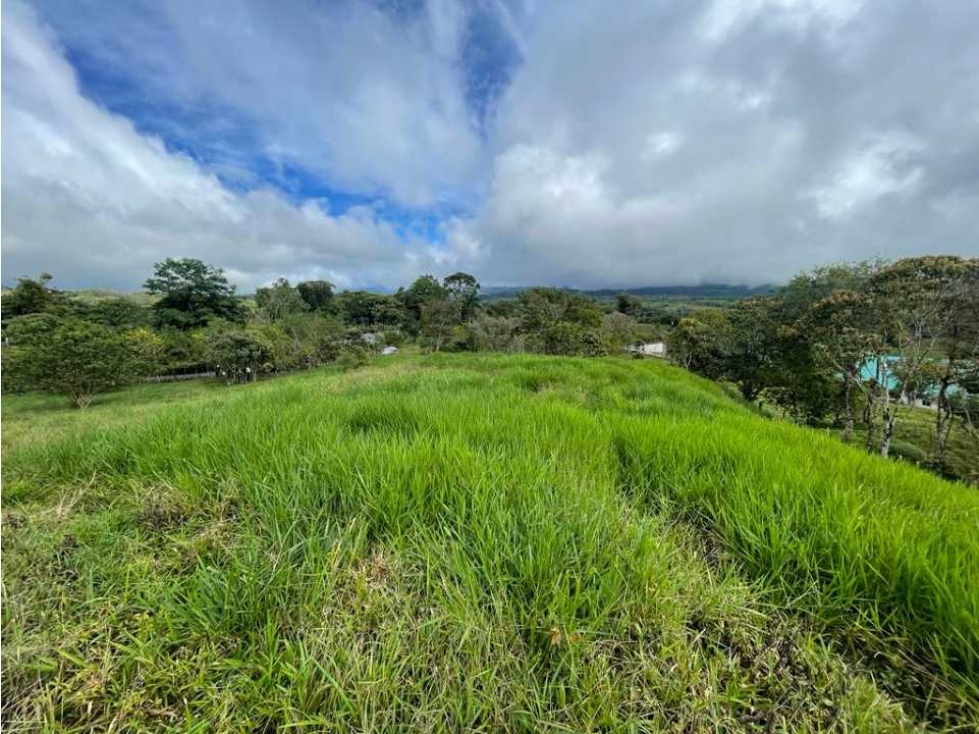 VENDO FINCA DE 21 HECTAREAS POTRERILLOS - 3