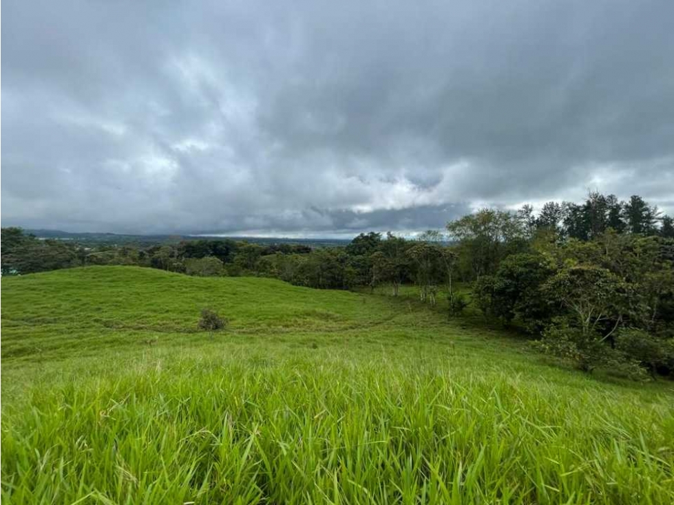 VENDO FINCA DE 21 HECTAREAS POTRERILLOS - 4