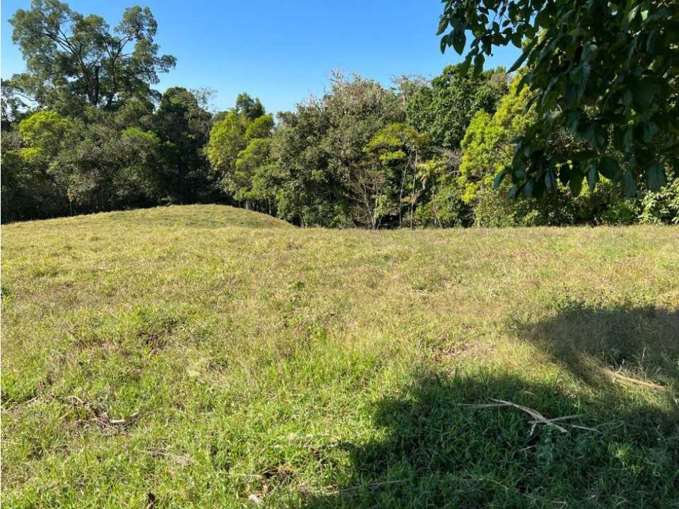 VENDO FINCA DE 23 HECTAREAS + CON AGUA VIVA - 2