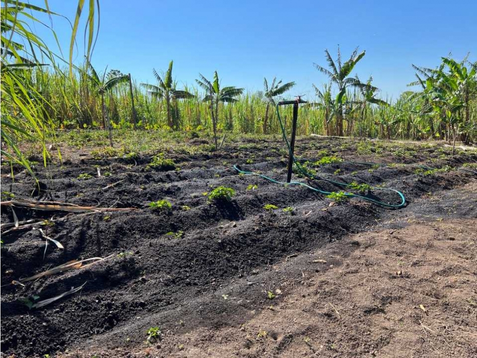 VENDO FINCA DE 23 HECTAREAS + CON AGUA VIVA - 3