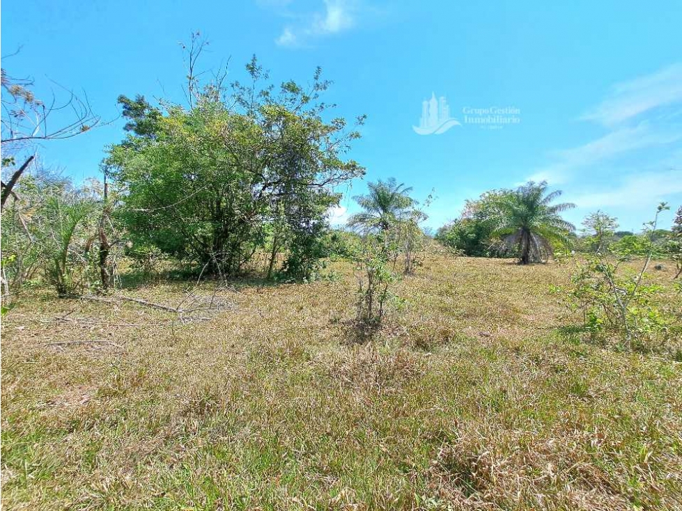 ALQUILO/ FINCA DE 25 HECTAREAS + COCHEA - 2