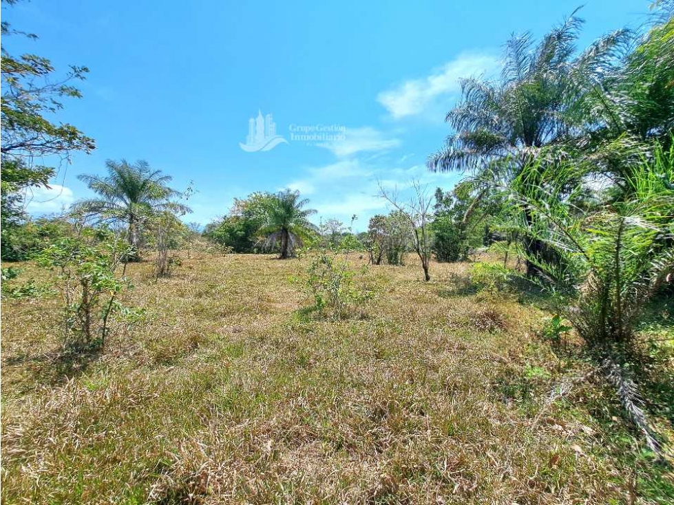 ALQUILO/ FINCA DE 25 HECTAREAS + COCHEA - 4