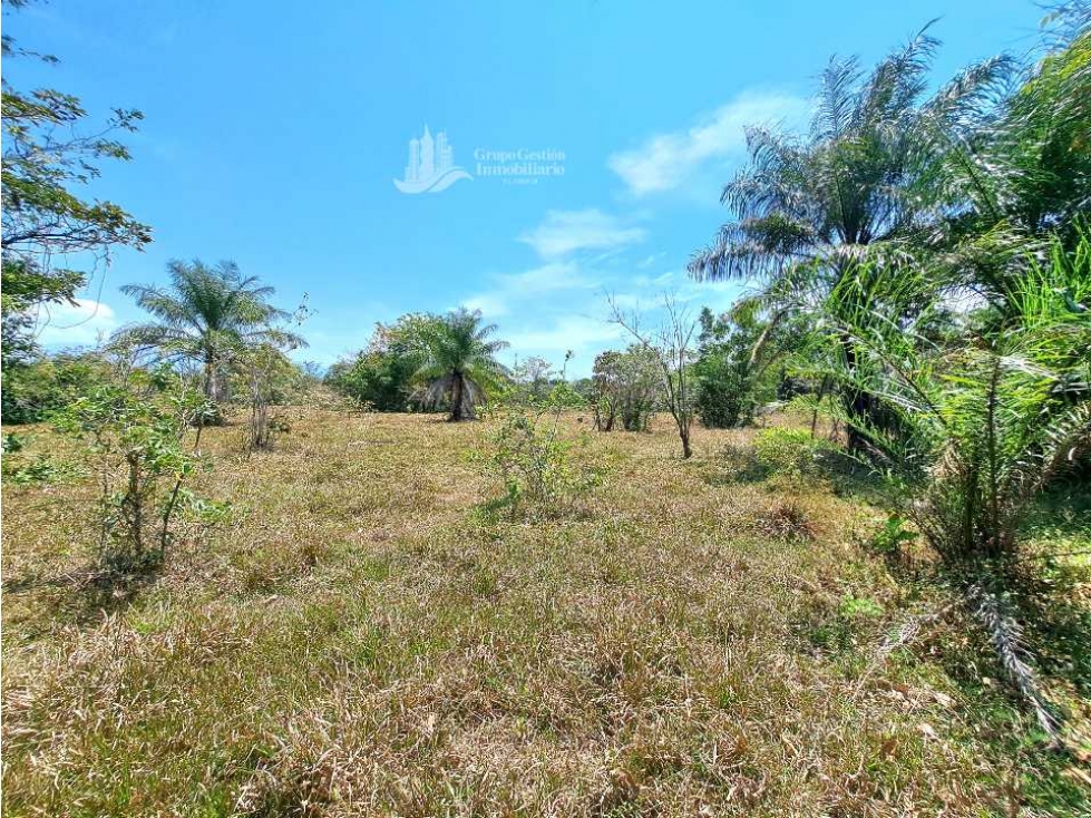 ALQUILO/ FINCA DE 25 HECTAREAS + COCHEA - 1