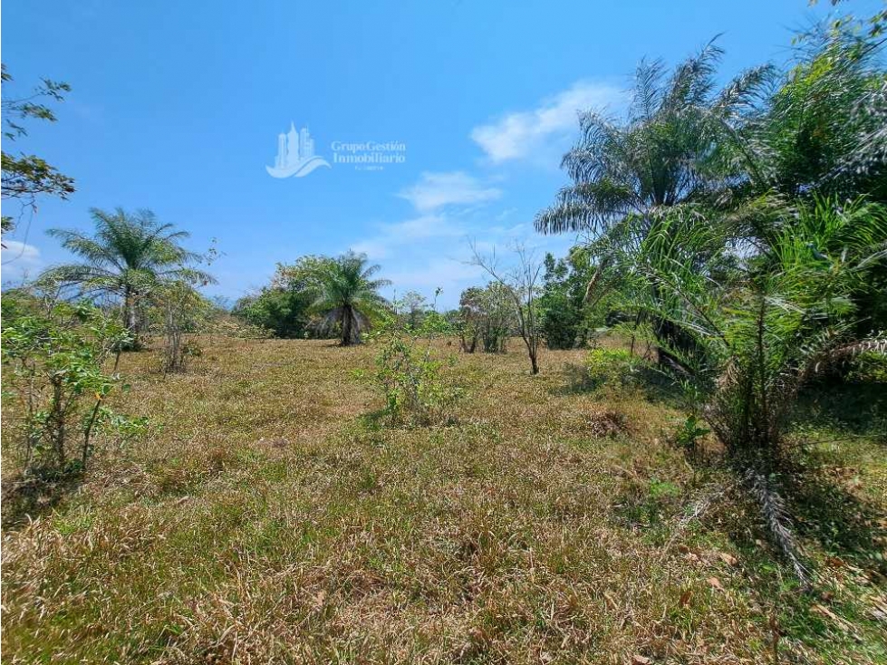 ALQUILO/ FINCA DE 25 HECTAREAS + COCHEA - 5