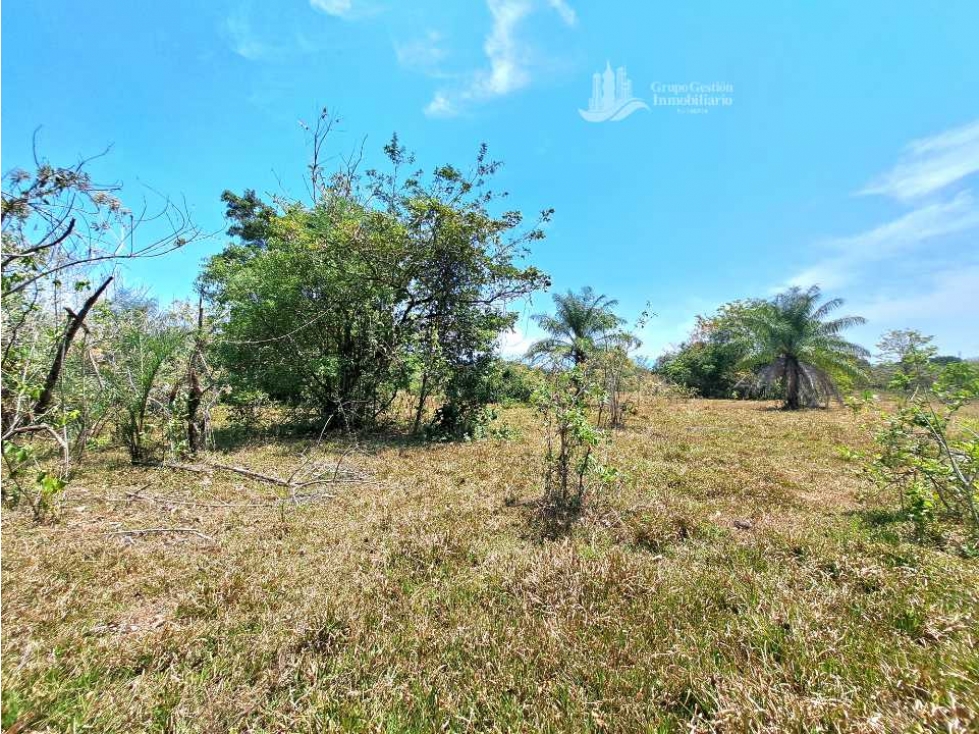 ALQUILO/ FINCA DE 25 HECTAREAS + COCHEA - 6