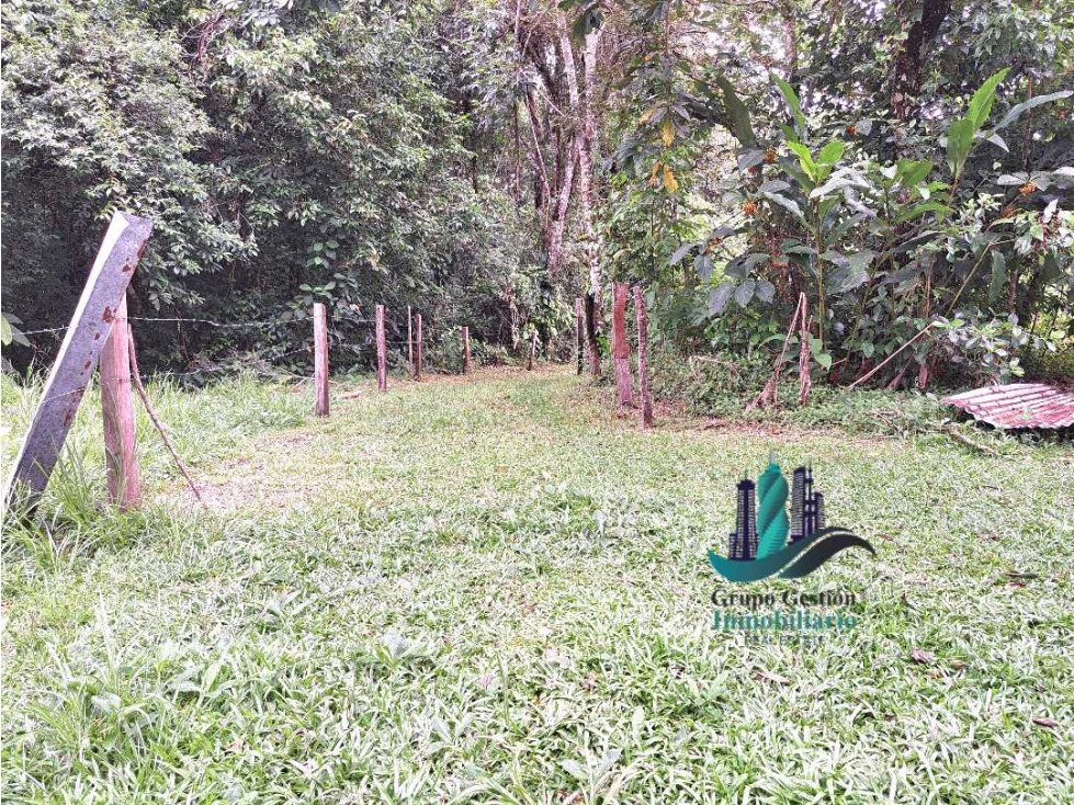 VENDO FINCA DE 2HECTAREAS +7613MTS CON.RIO.Y QUEBRADA - 3