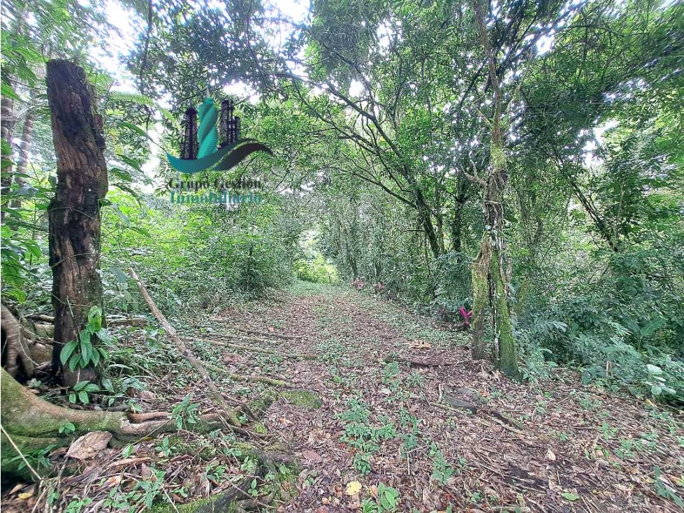 VENDO FINCA DE 2HECTAREAS +7613MTS CON.RIO.Y QUEBRADA - 4