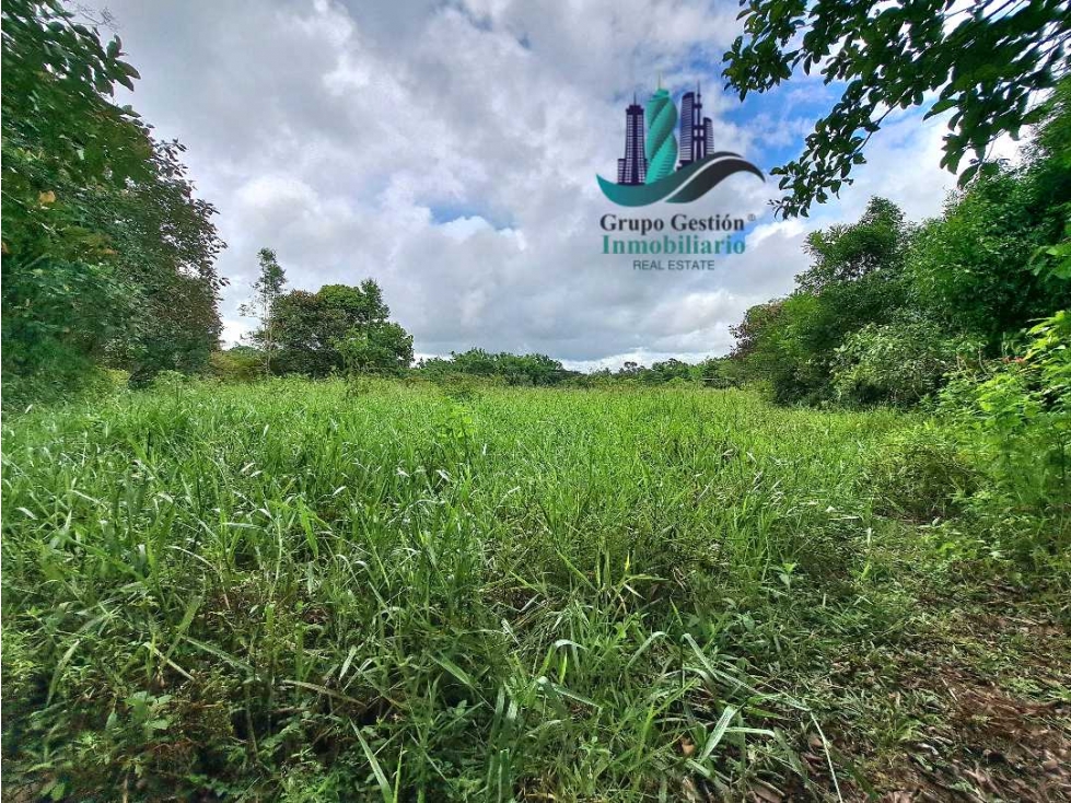 VENDO FINCA DE 2HECTAREAS +7613MTS CON.RIO.Y QUEBRADA - 5