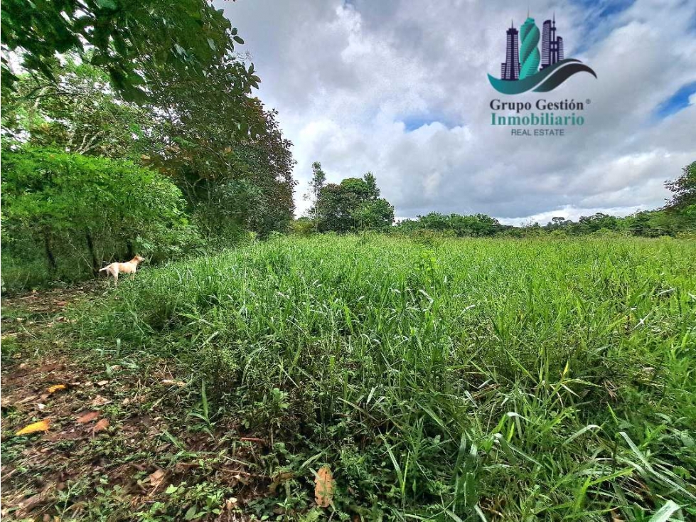 VENDO FINCA DE 2HECTAREAS +7613MTS CON.RIO.Y QUEBRADA - 6