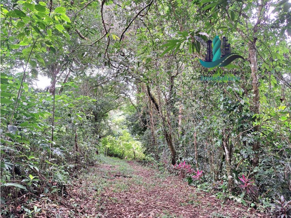 VENDO FINCA DE 2HECTAREAS +7613MTS CON.RIO.Y QUEBRADA - 2