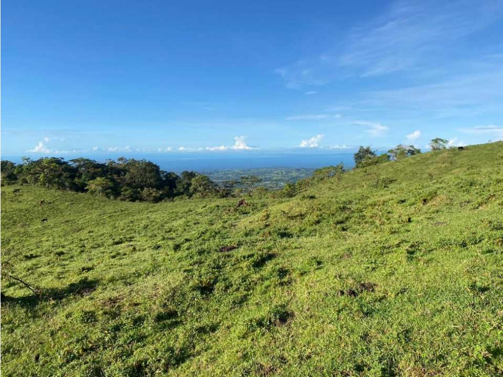 VENDO FINCA DE 368 HECTAREAS COORDILLERA - 2