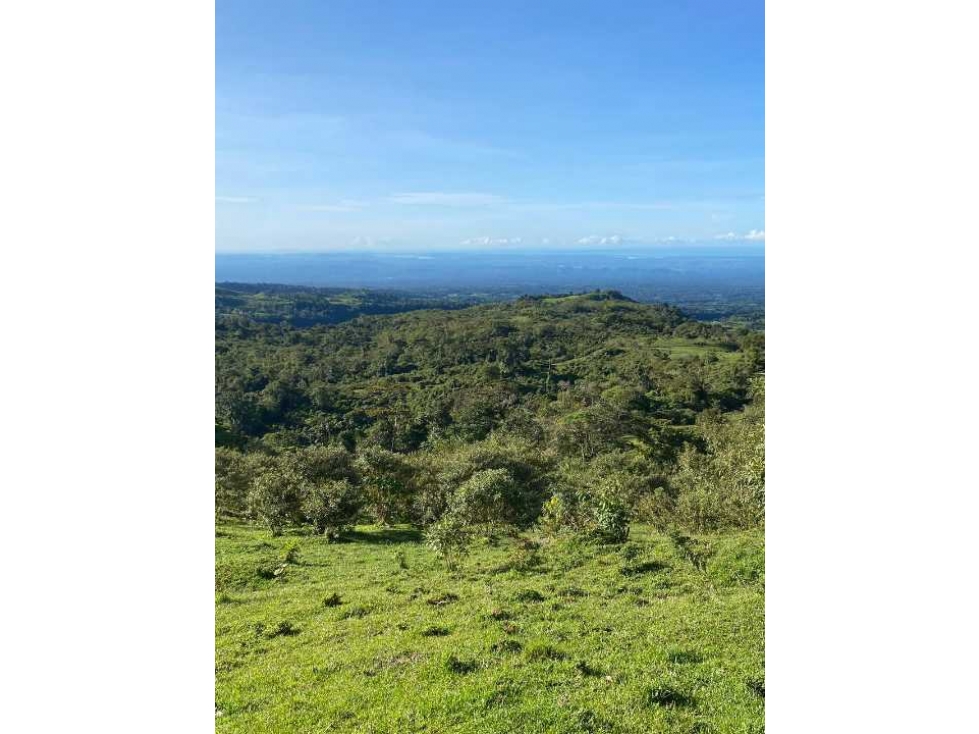 VENDO FINCA DE 368 HECTAREAS COORDILLERA - 4