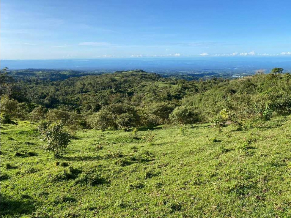 VENDO FINCA DE 368 HECTAREAS COORDILLERA - 6