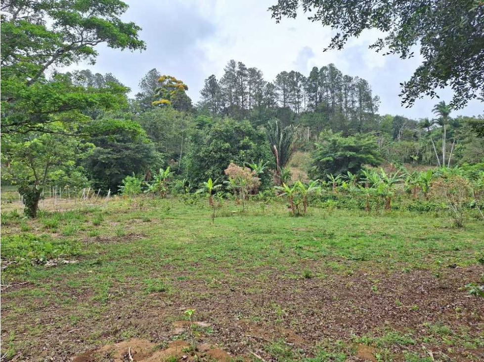 VENDO FINCA DE 4 HECTAREAS Y MEDIA LA UNION - 1