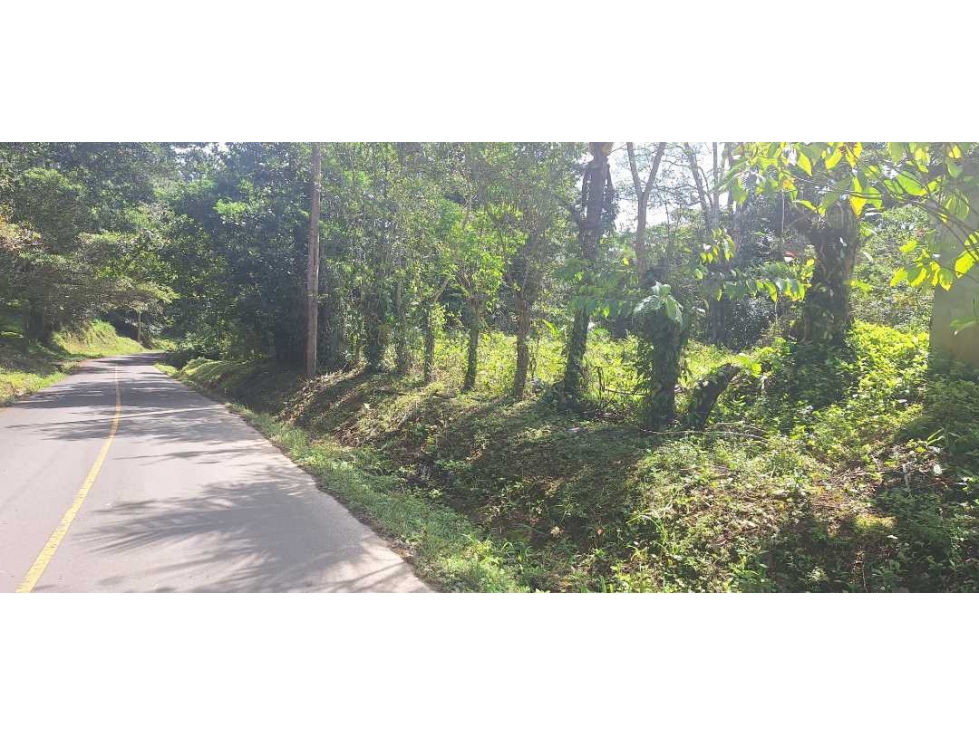 VENDO FINCA DE 4 HECTAREAS Y MEDIA LA UNION - 3