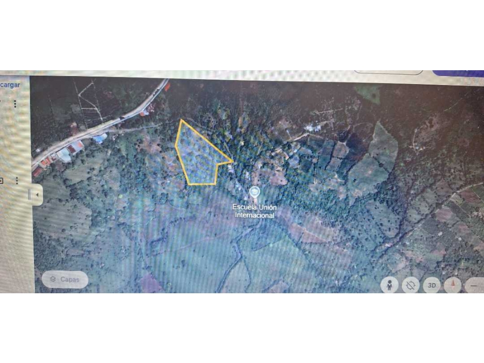 VENDO FINCA DE 4 HECTAREAS Y MEDIA LA UNION - 5