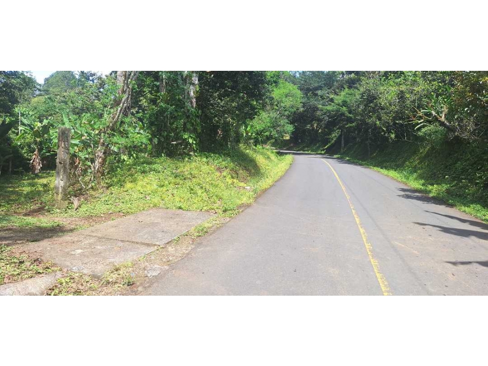 VENDO FINCA DE 4 HECTAREAS Y MEDIA LA UNION - 6