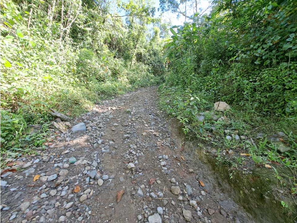 VENDO FINCA DE 50 HA CON AGUA - 1