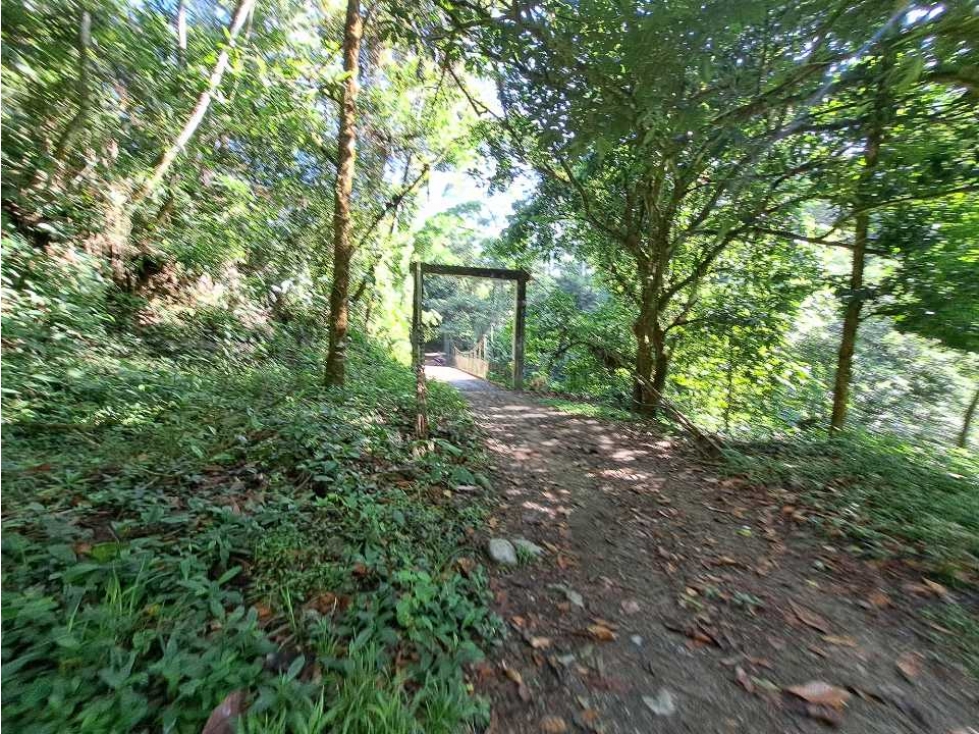 VENDO FINCA DE 50 HA CON AGUA - 2
