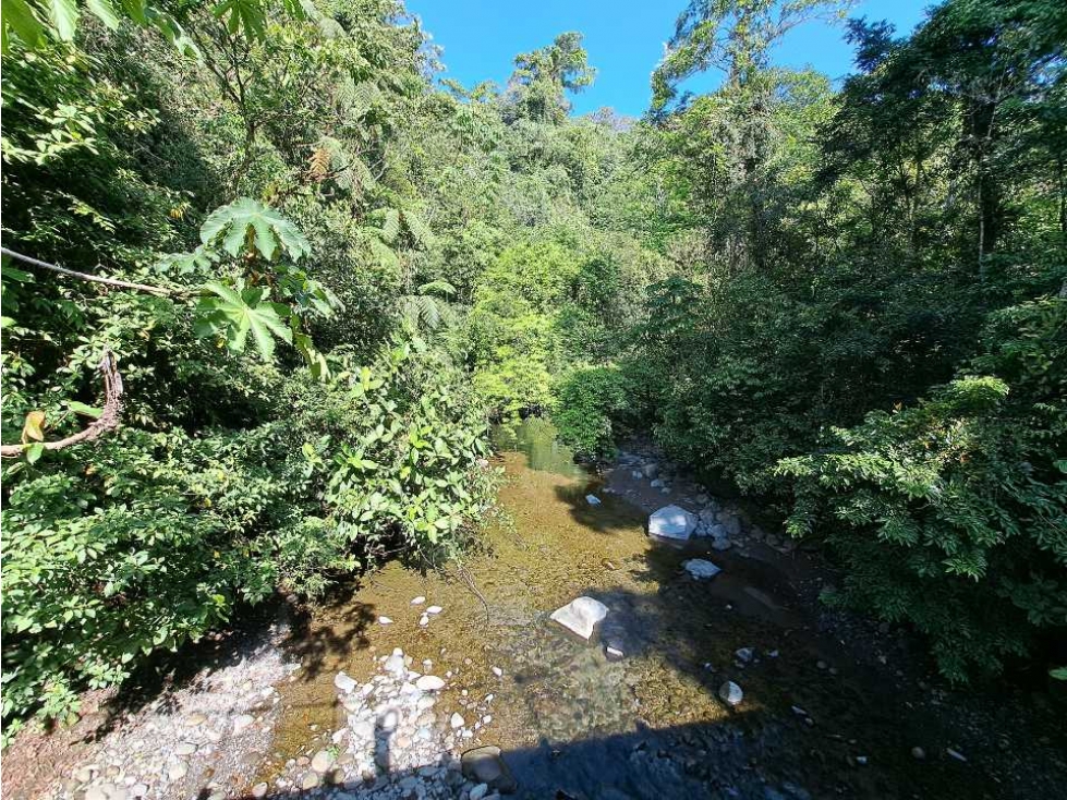 VENDO FINCA DE 50 HA CON AGUA - 3