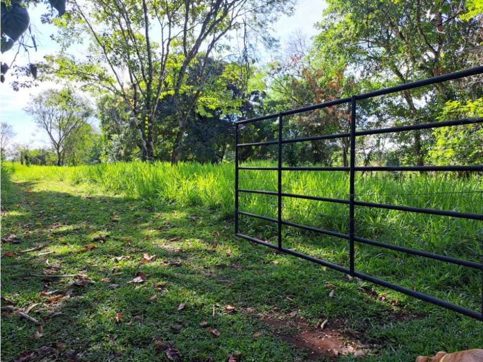 VENDO FINCA DE 50 HA CON AGUA - 4