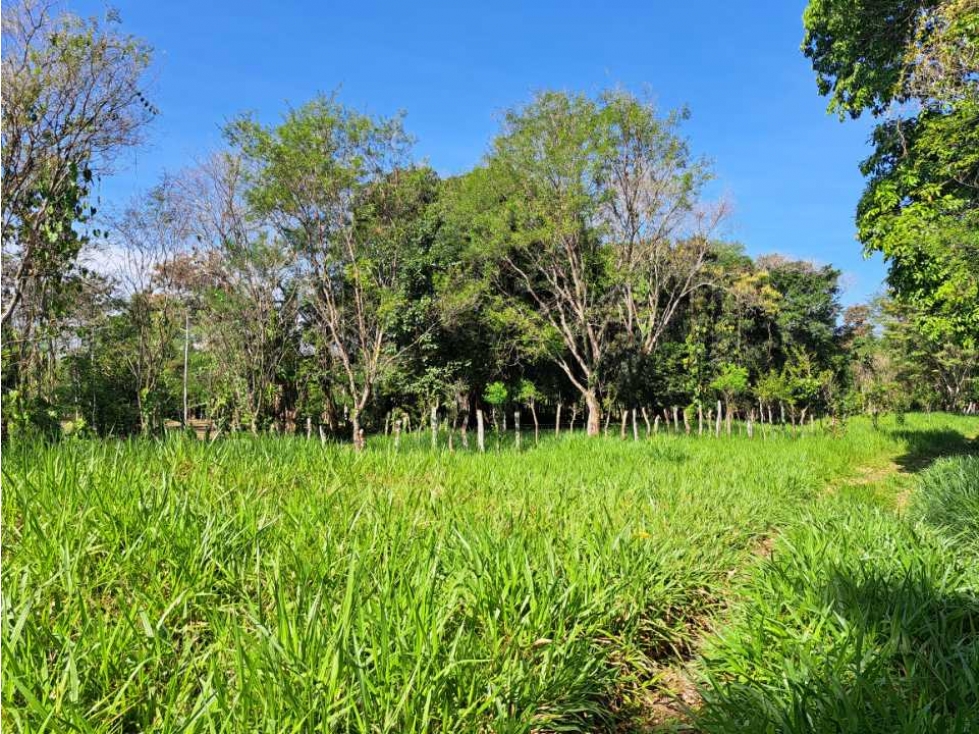 VENDO FINCA DE 50 HA CON AGUA - 5