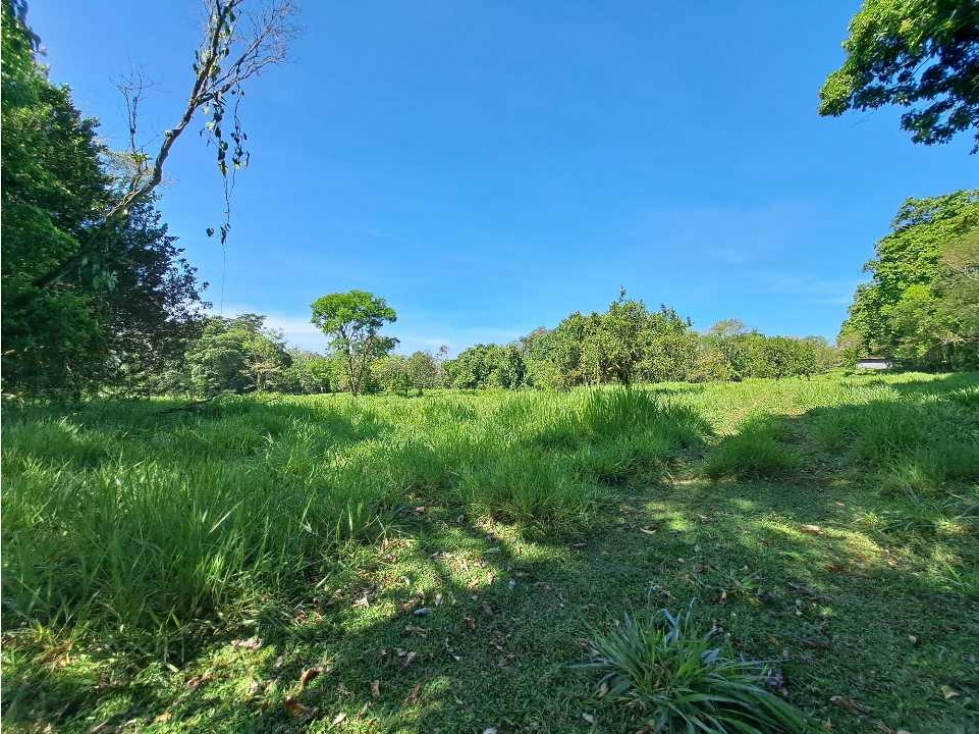 VENDO FINCA DE 50 HA CON AGUA - 6
