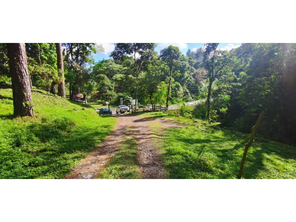 VENDO FINCA DE 195 HECTAREAS EN COORDILLERA CON AGUA VIVA - 4