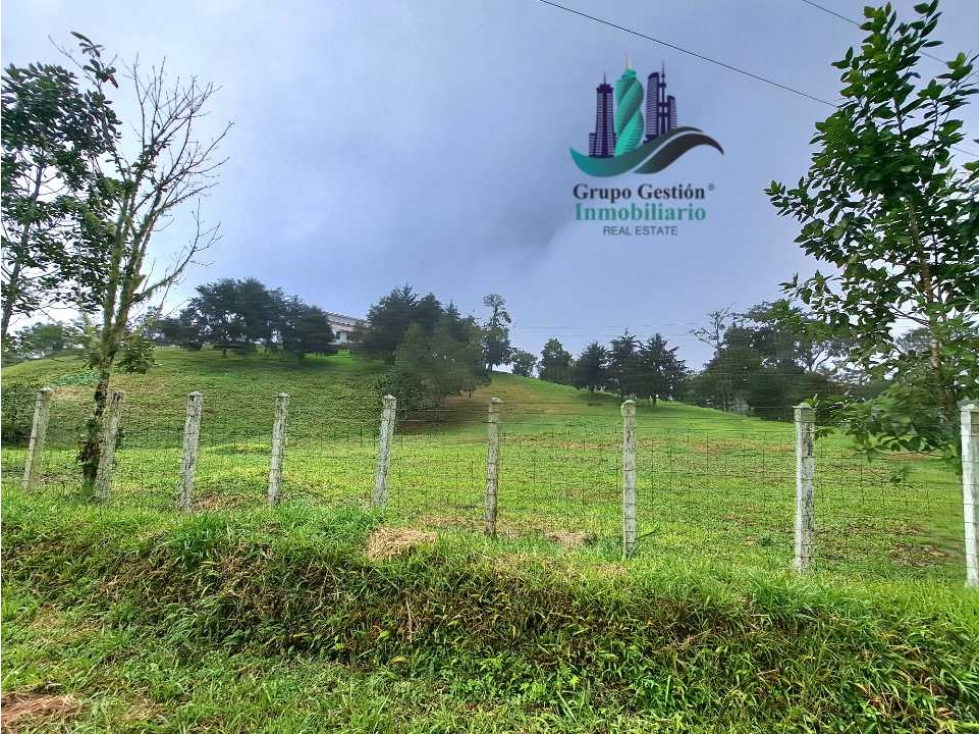 VENDO FINCA DE 51HECTAREA A 1500 M.S.N.M. - 1
