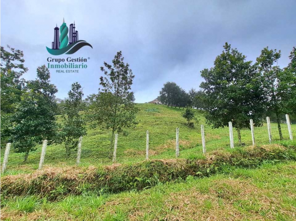 VENDO FINCA DE 51HECTAREA A 1500 M.S.N.M. - 2