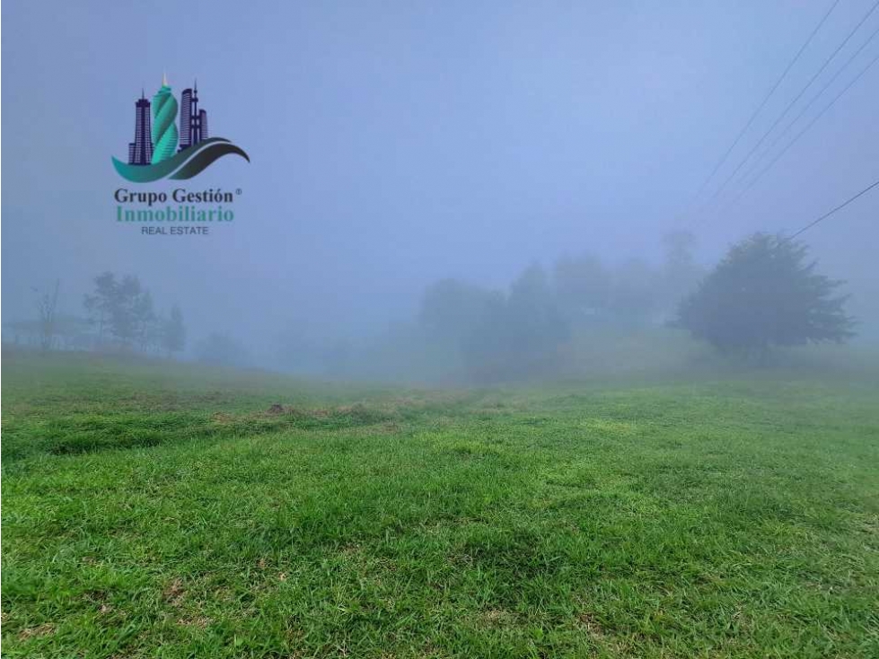 VENDO FINCA DE 51HECTAREA A 1500 M.S.N.M. - 5
