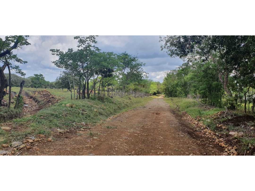 Vendo finca de 54 ha en Rovira, Chiriquí, ideal para ganadería! - 2