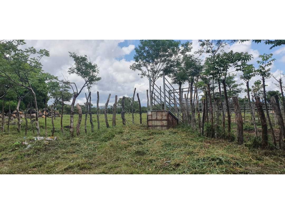 Vendo finca de 54 ha en Rovira, Chiriquí, ideal para ganadería! - 3