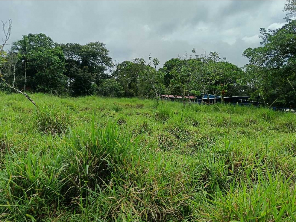 VENDO FINCA DE 60HECTAREAS 90%PLANA - 6