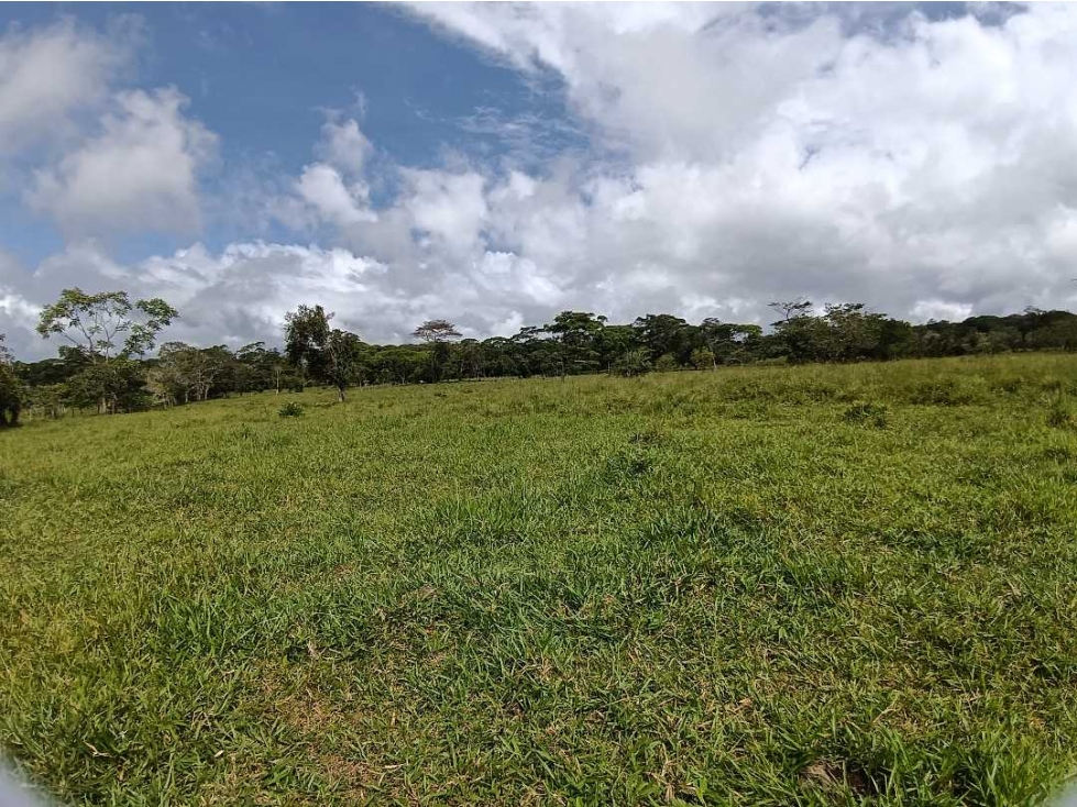 VENDO FINCA DE 60HECTAREAS 90%PLANA - 1