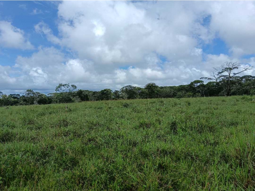 VENDO FINCA DE 60HECTAREAS 90%PLANA - 2