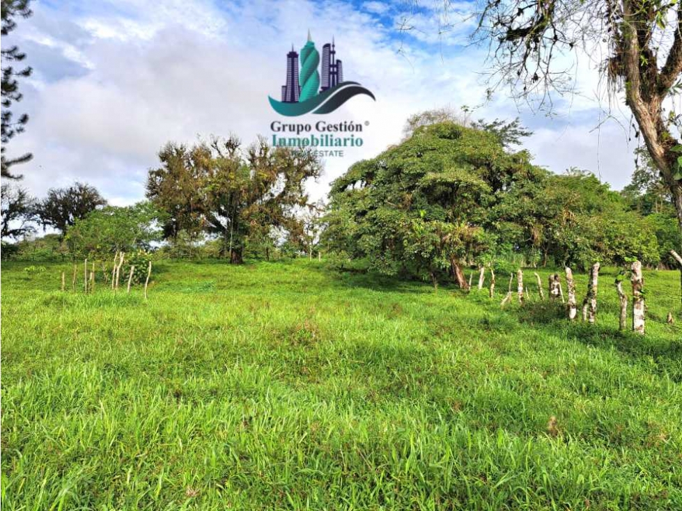 VENDO FINCA DE 6.5 HA CON ALTITUD DE 995M.S.N.M. - 2