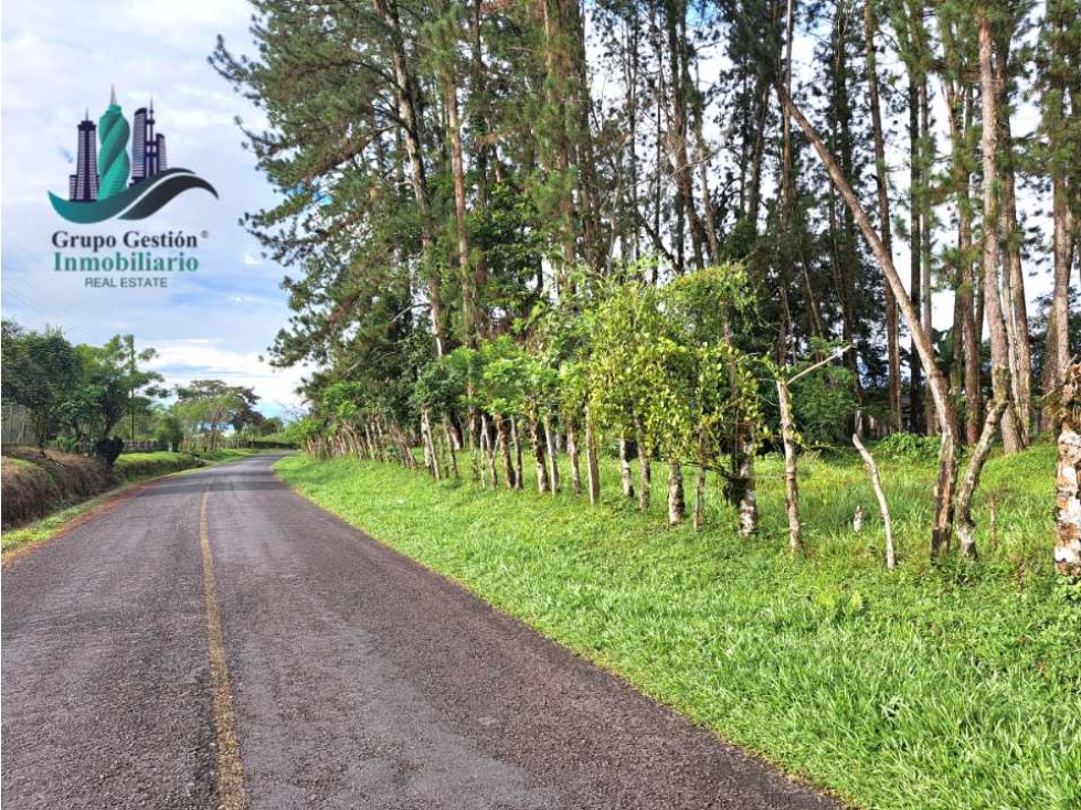 VENDO FINCA DE 6.5 HA CON ALTITUD DE 995M.S.N.M. - 5
