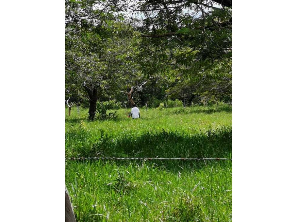 VENDO FINCA DE 73 HECTAREAS CON EQUIPOS DE LECHERIA SAN JUAN - 1