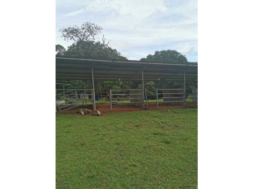 VENDO FINCA DE 73 HECTAREAS CON EQUIPOS DE LECHERIA SAN JUAN - 2