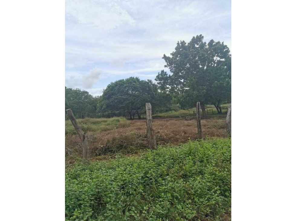 VENDO FINCA DE 73 HECTAREAS CON EQUIPOS DE LECHERIA SAN JUAN - 4