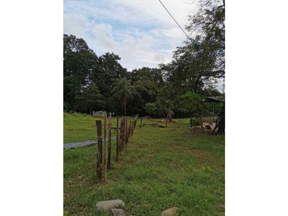VENDO FINCA DE 73 HECTAREAS CON EQUIPOS DE LECHERIA SAN JUAN - 5